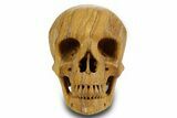 Realistic, Polished Picture Jasper Skull #378610-1